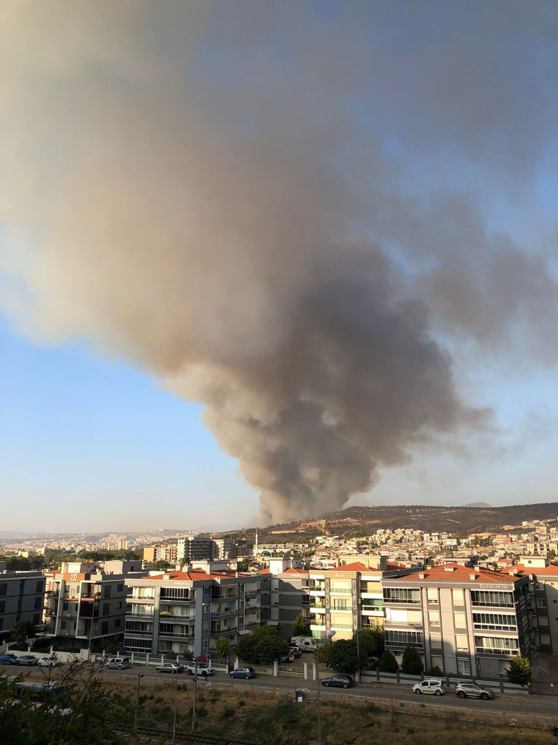 Araçta başlayan yangın ormana sıçradı